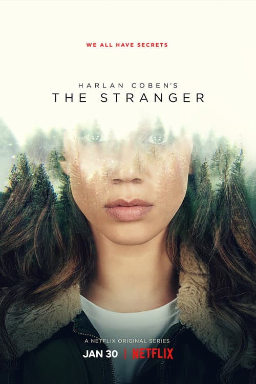The Stranger Limited Series poster