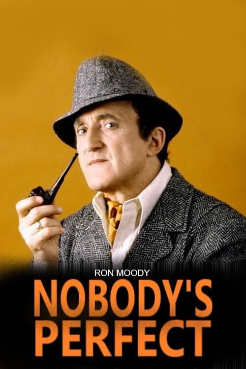 Nobody's Perfect Season 1 poster