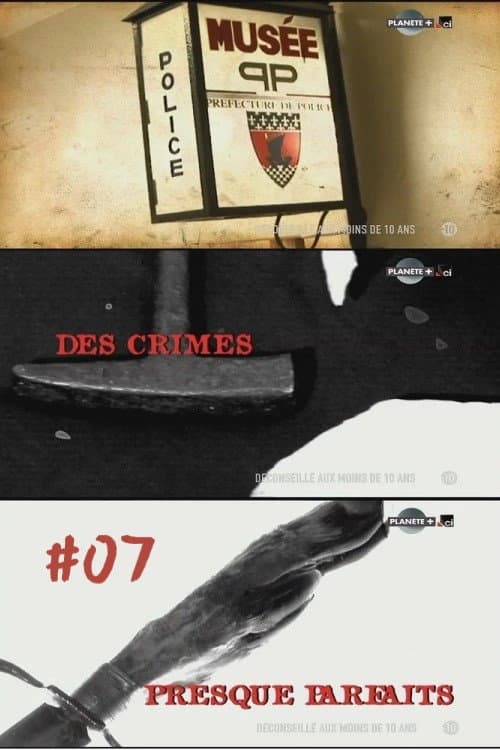 Des crimes presque parfaits Season 7 poster