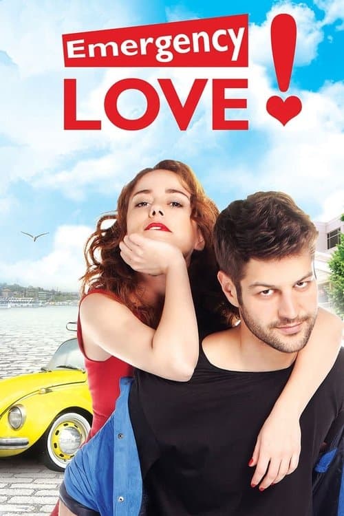 Emergency Love Season 2 poster