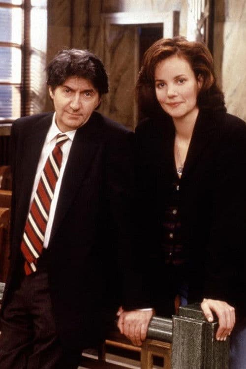 The Wright Verdicts Season 1 poster