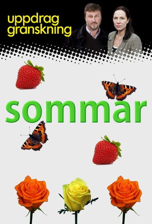 Uppdrag granskning sommar Season 2012 poster