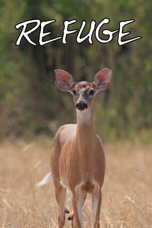Refuge Season 1 poster