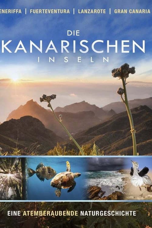 Die Kanarischen Inseln Season 1 poster