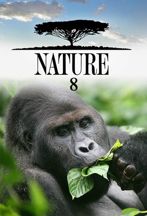 Nature Season 8 poster