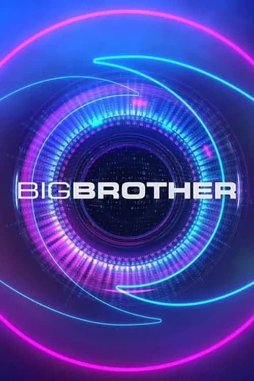 Big Brother Season 6 poster