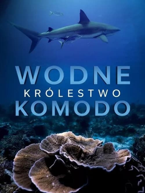 Wodne królestwo Komodo Season 1 poster