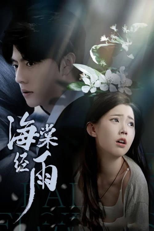 海棠经雨 Season 1 poster