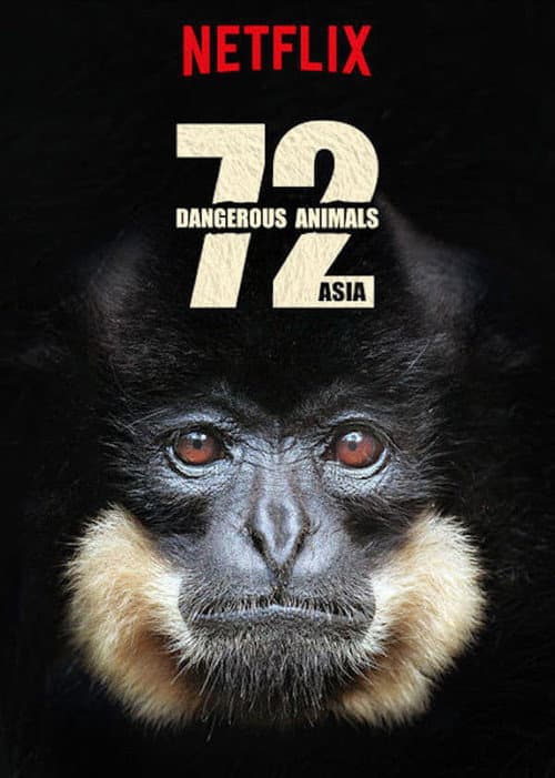 72 Dangerous Animals: Asia Season 1 poster