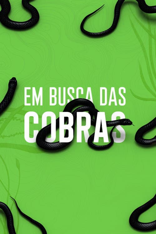 Rato, Vini and Snakes Season 1 poster