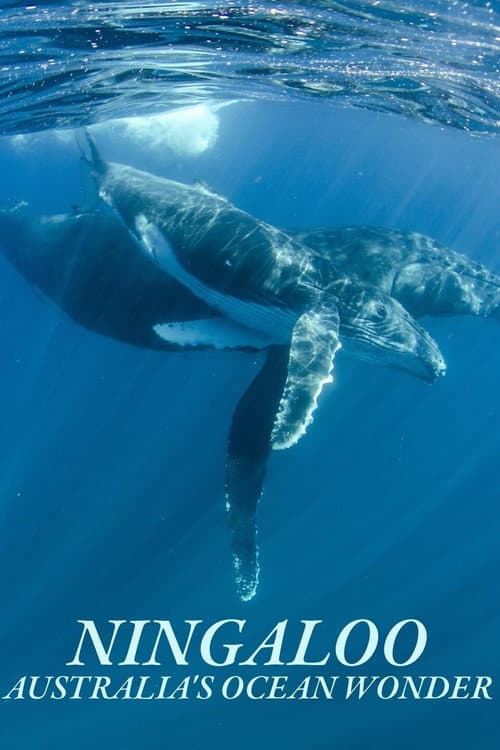 Ningaloo Nyinggulu Series 1 poster