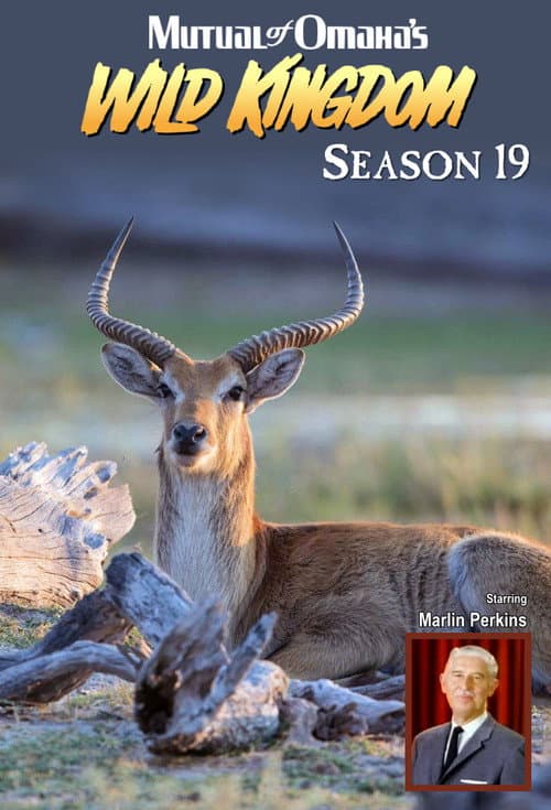 Mutual of Omaha's Wild Kingdom Season 19 poster