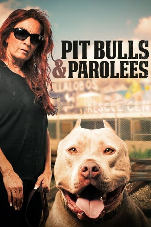 Pit Bulls and Parolees Season 2 poster