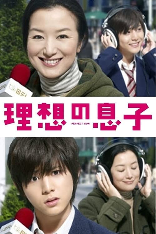 Perfect Son Season 1 poster