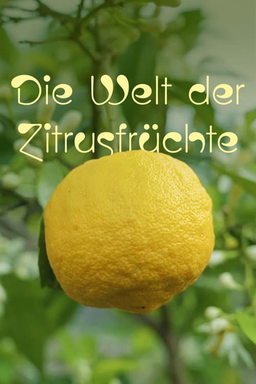 Die Welt der Zitrusfrüchte Season 1 poster