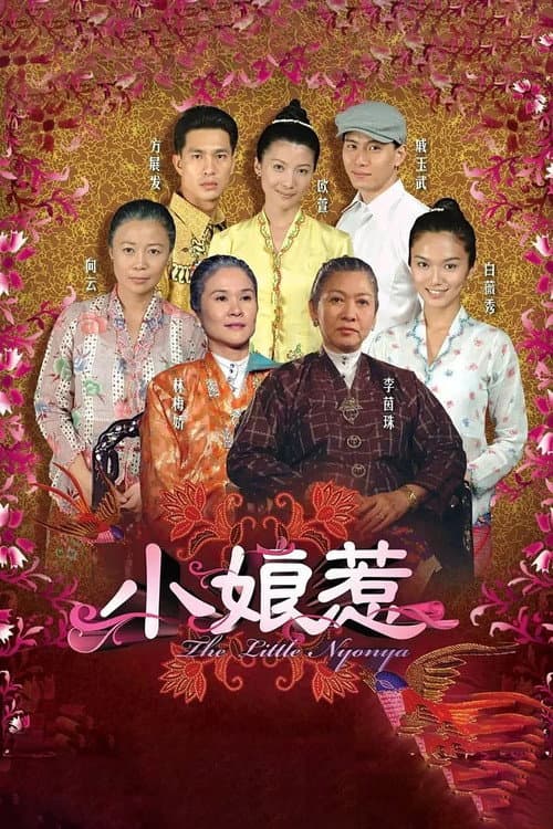 The Little Nyonya Season 1 poster