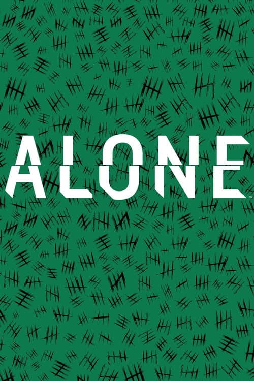 Alone Labrador poster