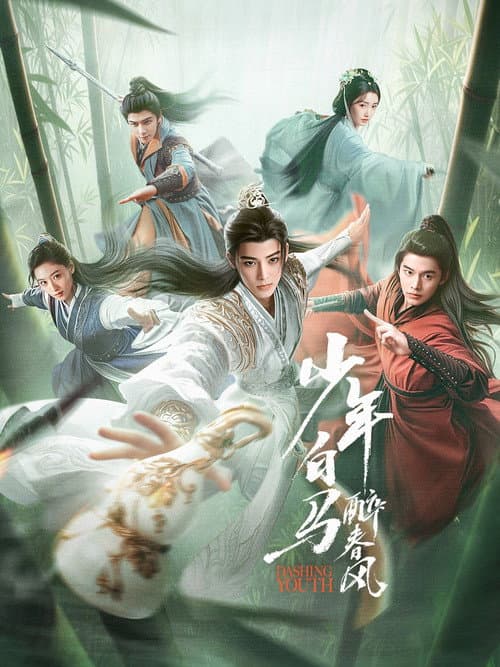 Dashing Youth Season 1 poster
