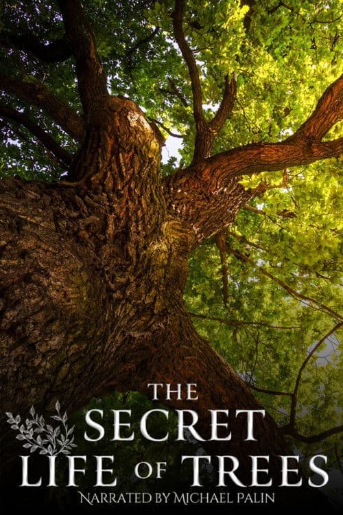 The Secret Life of Trees Season 1 poster