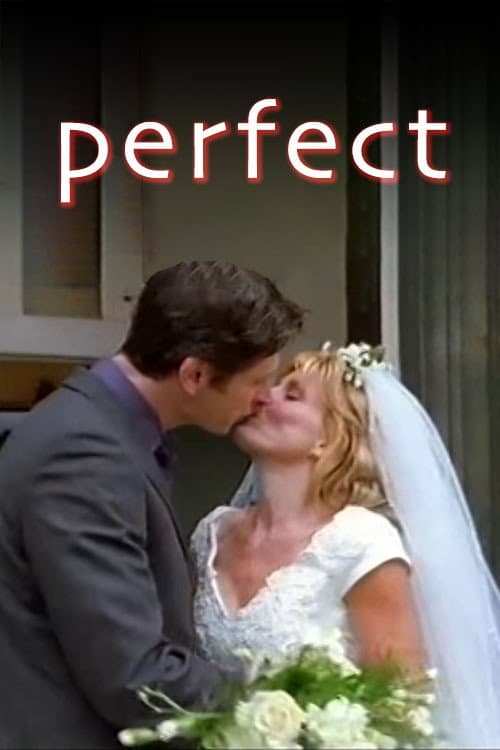 Perfect Miniseries poster