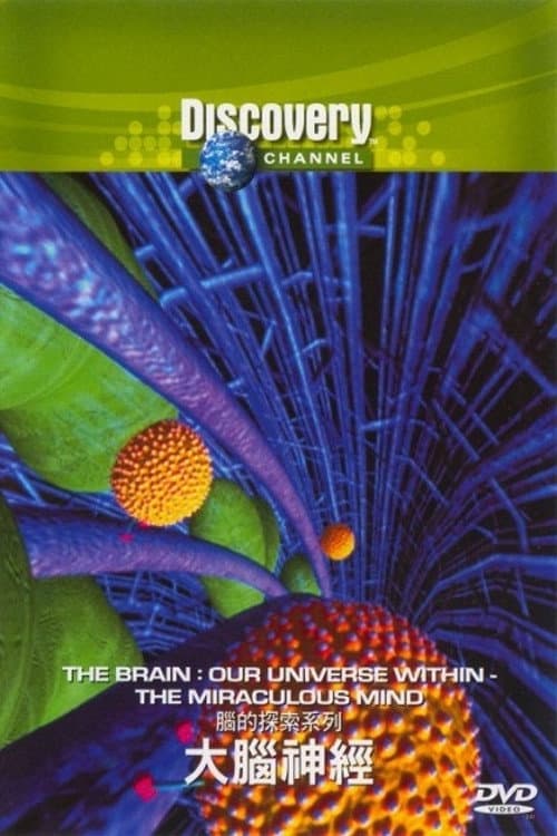 The Brain: Our Universe Within Season 1 poster