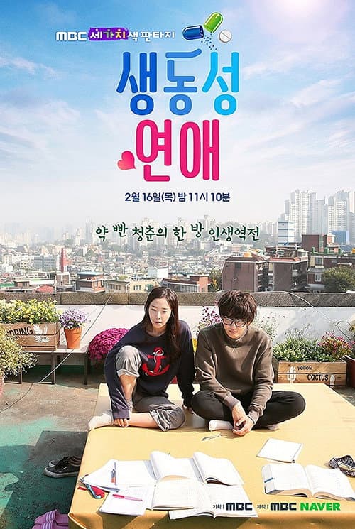 Romance Full of Life Season 1 poster