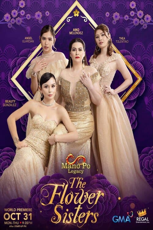 Mano Po Legacy The Family Fortune poster
