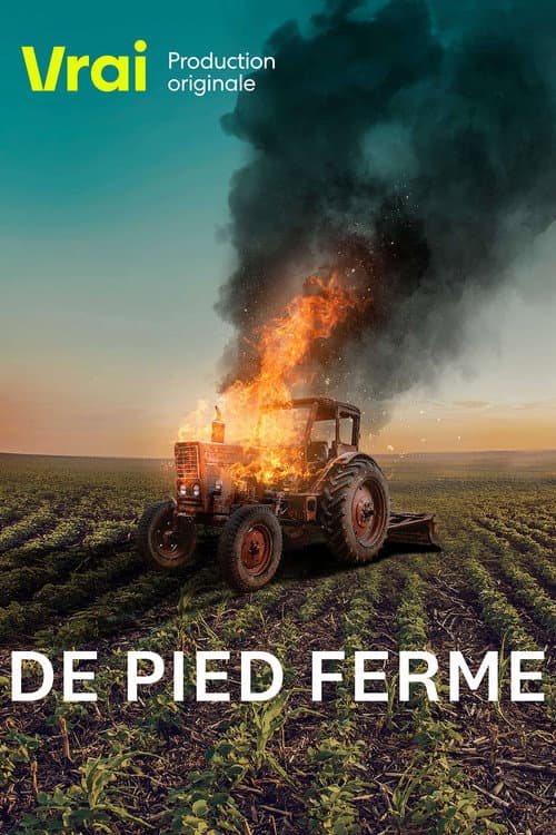 De pied ferme Season 1 poster