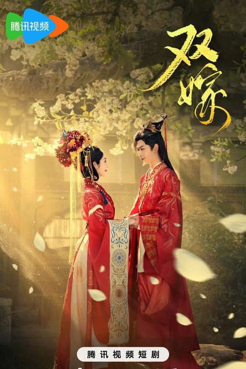 双嫁 Season 1 poster
