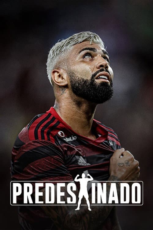 Predestinado Season 1 poster
