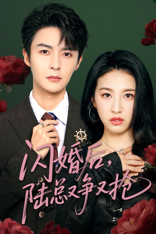 闪婚后陆总又争又抢 Season 1 poster