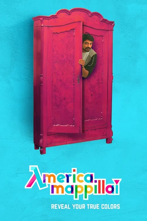 America Mappillai Season 1 poster