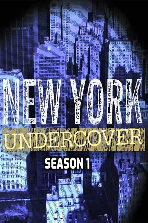 New York Undercover Season 1 poster
