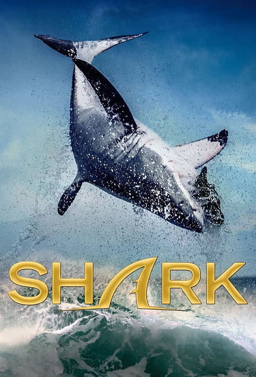 Shark Miniseries poster
