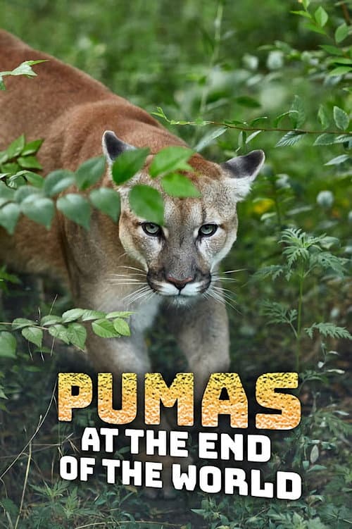 Pumas At The End of The World Season 1 poster