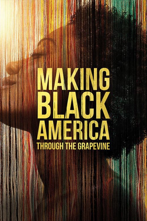 Making Black America Season 1 poster