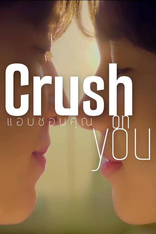 Crush on You Season 1 poster