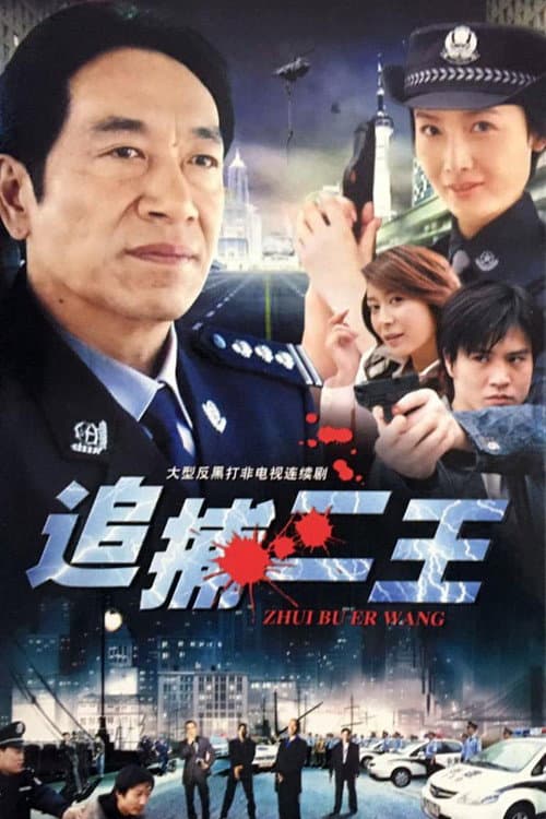 追捕二王 Season 1 poster