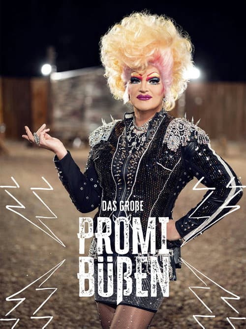 Das große Promi-Büßen Season 2 poster