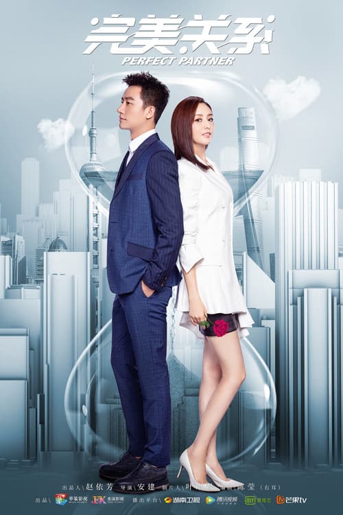 Perfect Partner Season 1 poster