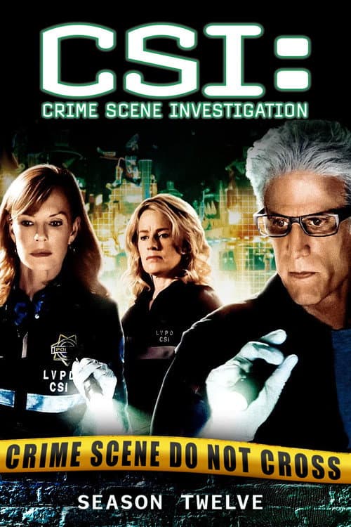 CSI: Crime Scene Investigation Season 12 poster