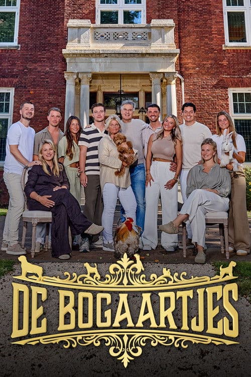 De Bogaartjes Season 1 poster