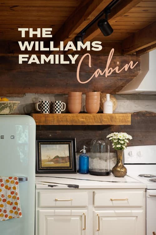 The Williams Family Cabin Season 1 poster