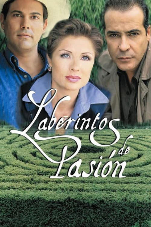 Labyrinth of Passion Season 1 poster