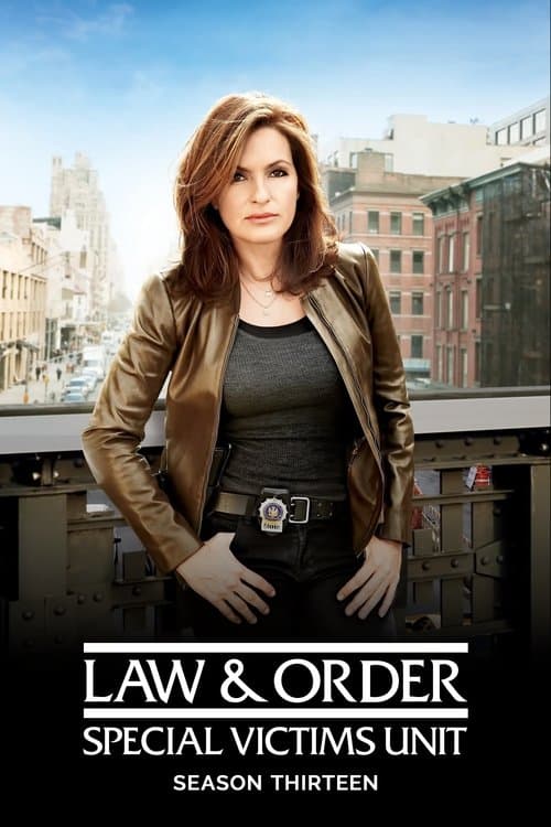 Law & Order: Special Victims Unit Season 13 poster