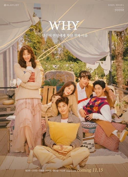 W.H.Y.: What Happened to Your Relationship Season 1 poster