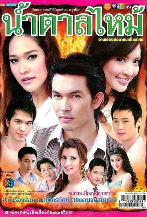 Burnt Sugar Season 1 poster