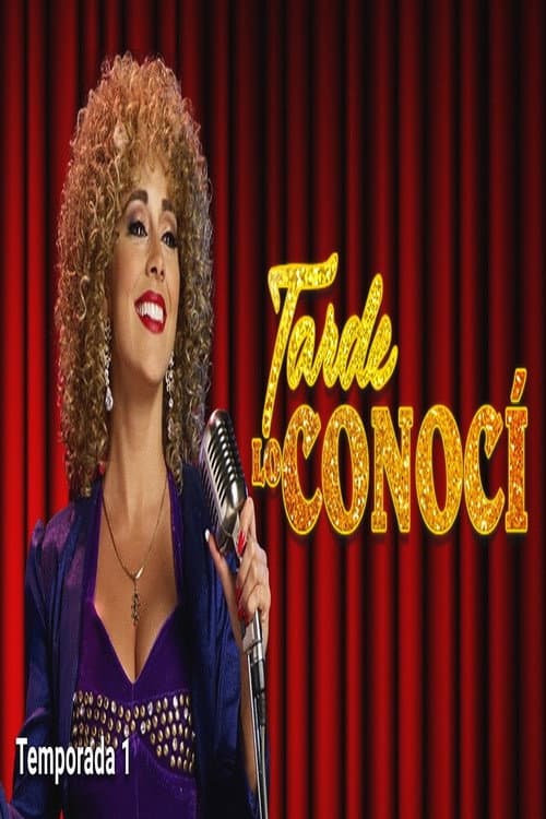 Tarde lo conocí Season 1 poster
