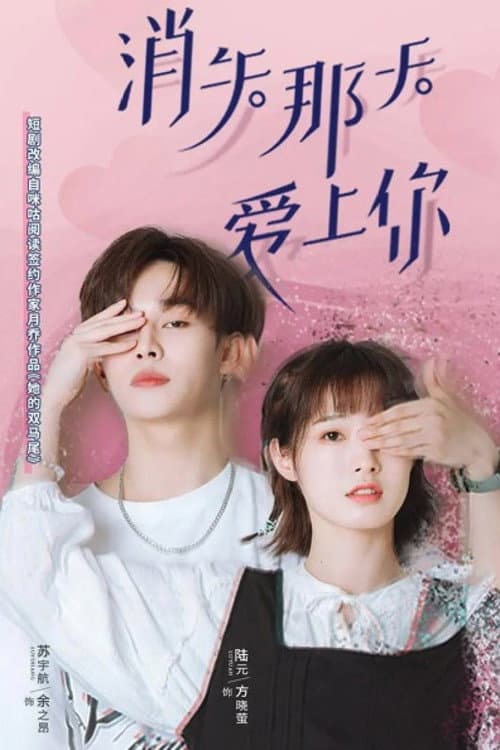 消失那天爱上你 Season 1 poster