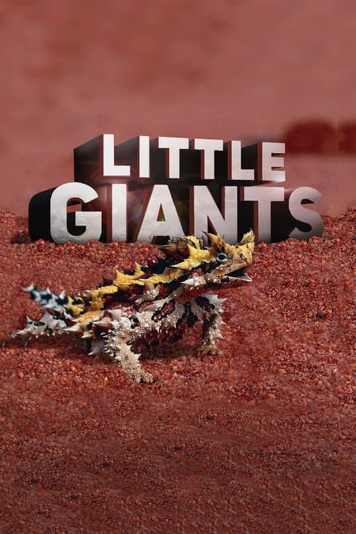 Little Giants Season 1 poster